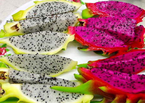 pitaya-1704370519.png