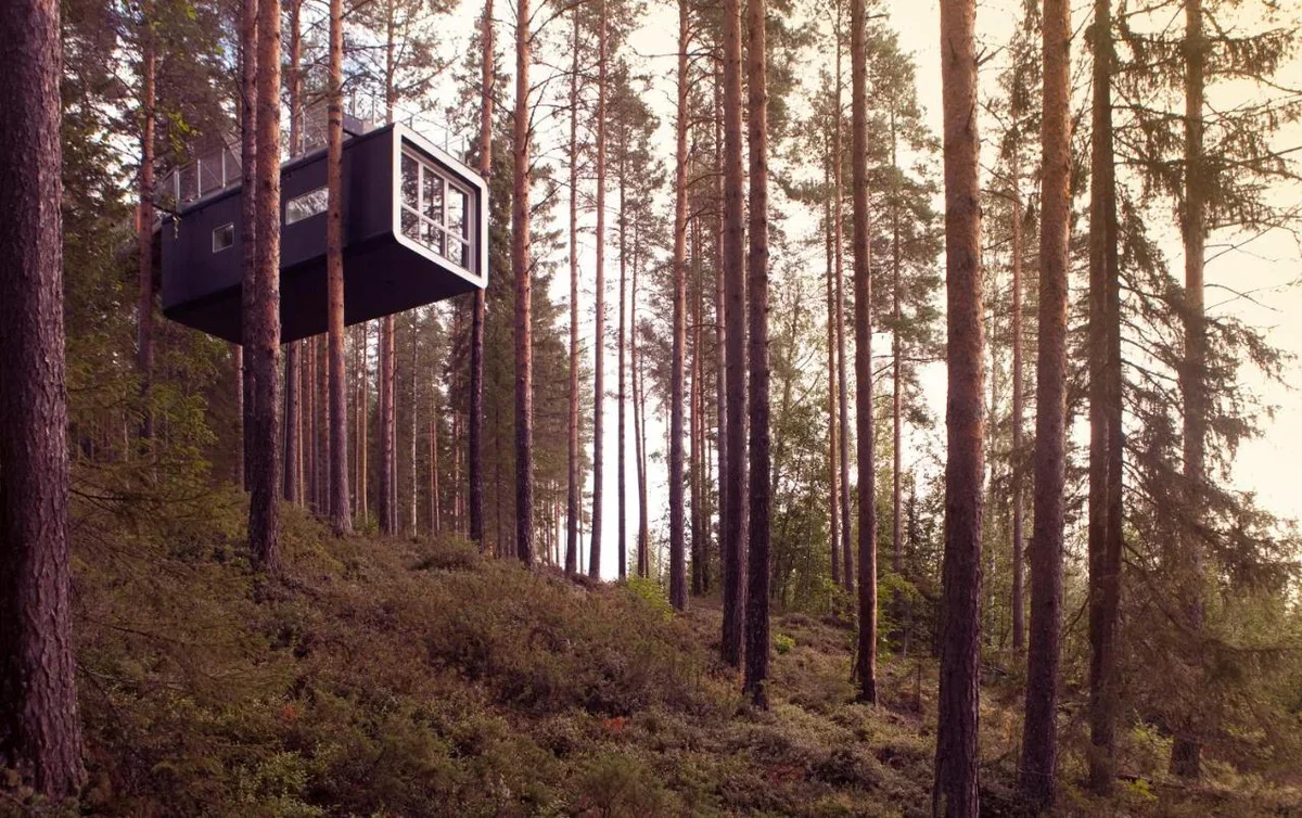 treehotel-foto-buking-kom-1724155951.jpg.webp