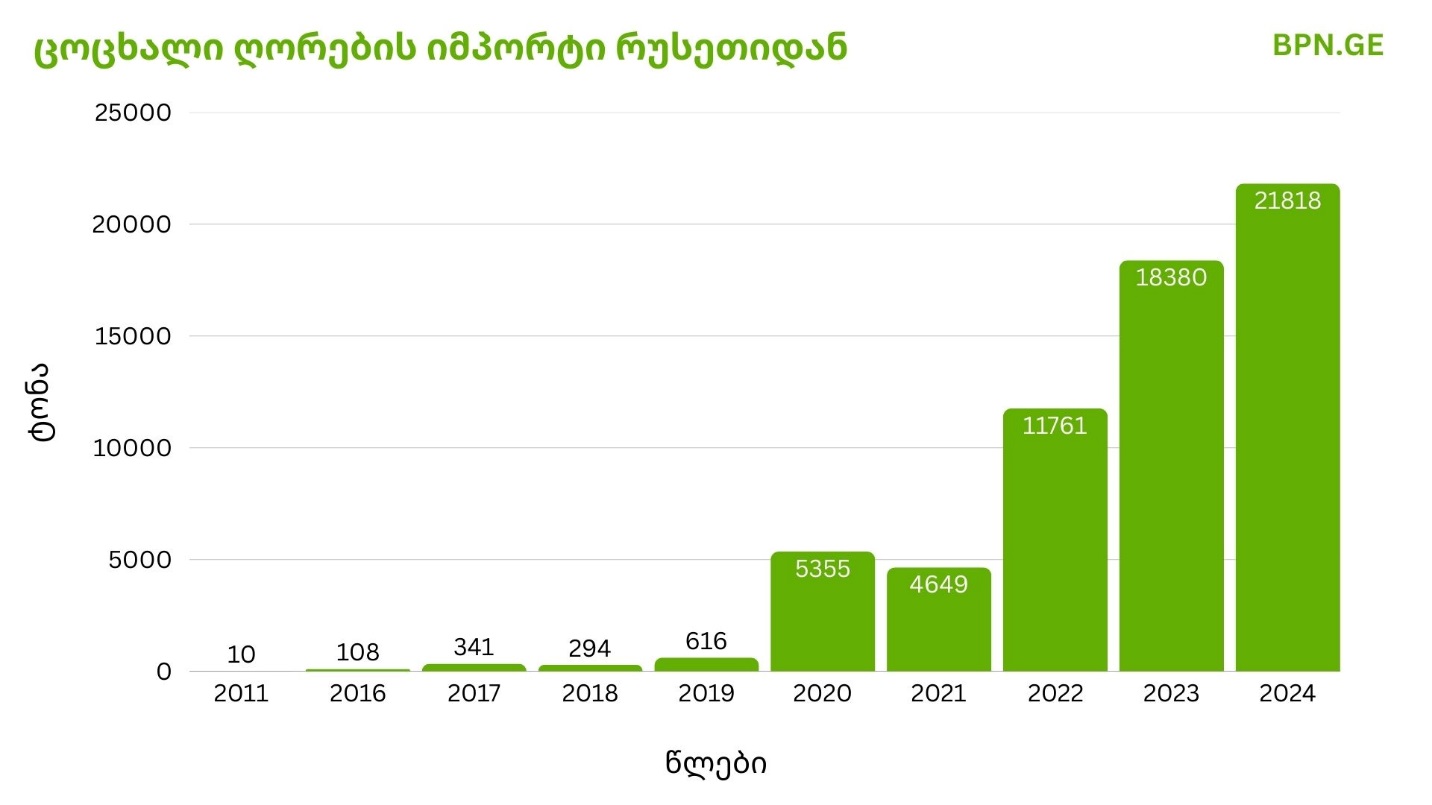 gori-1-1738827490.jpg